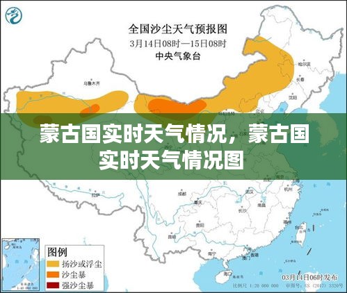 飞龙在天 第3页