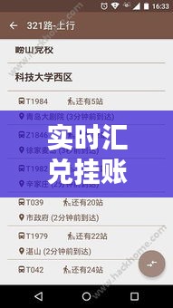 实时汇兑挂账软件哪个好，外汇实时到账 