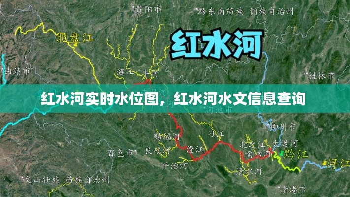 贵不可言 第3页
