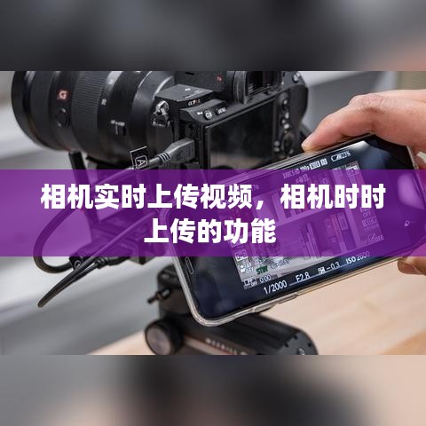 服务支持 第155页