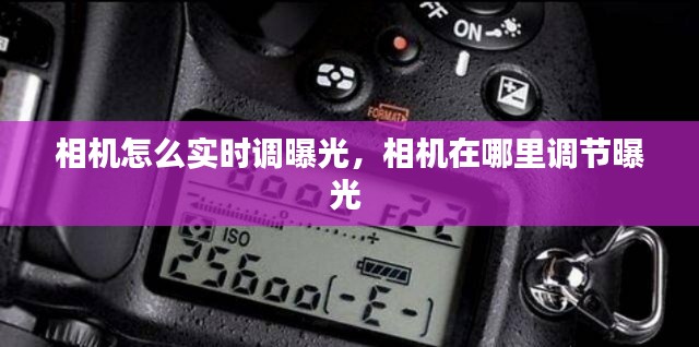 产品中心 第154页