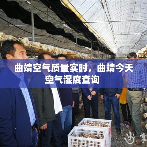 博古通今 第4页