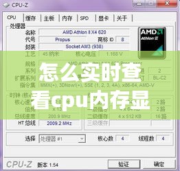 怎么实时查看cpu内存显卡ping，怎么看cpu显卡内存占用率 