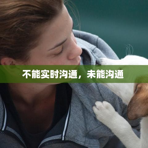 随圆就方 第3页