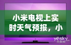 兵贵神速 第3页