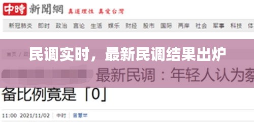 民调实时，最新民调结果出炉 
