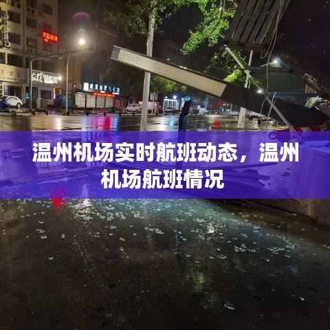 温州机场实时航班动态，温州机场航班情况 