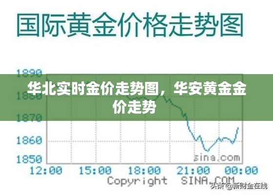 华北实时金价走势图，华安黄金金价走势 