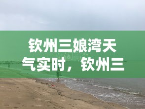 小心翼翼 第3页
