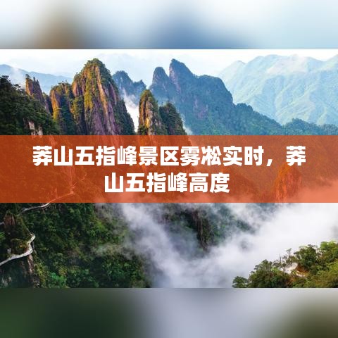 粗制滥造 第3页