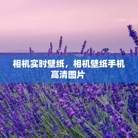 客户评价 第139页