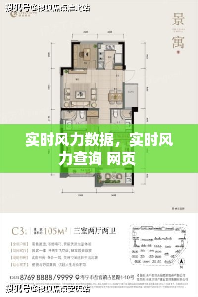 夯雀儿先飞 第3页