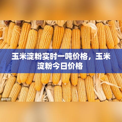 玉米淀粉实时一吨价格，玉米淀粉今日价格 