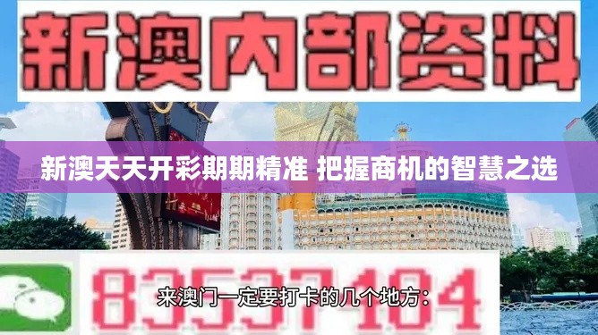 新澳天天开彩期期精准 把握商机的智慧之选