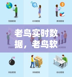 老鸟实时数据，老鸟软件 