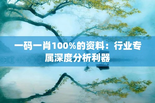 一码一肖100%的资料：行业专属深度分析利器