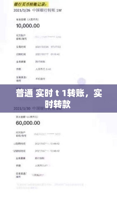 普通 实时 t 1转账，实时转款 
