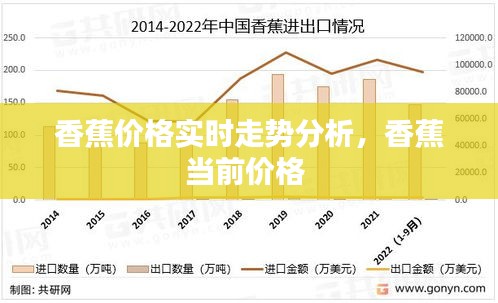 香蕉价格实时走势分析，香蕉当前价格 