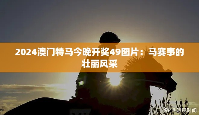 2024澳门特马今晚开奖49图片：马赛事的壮丽风采