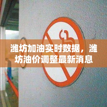 潍坊加油实时数据，潍坊油价调整最新消息 