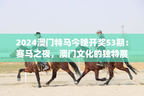 2024澳门特马今晚开奖53期：赛马之夜，澳门文化的独特展现