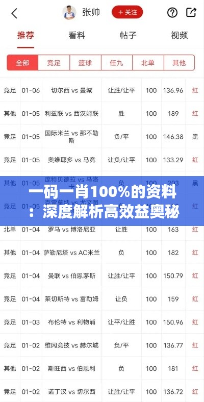 一码一肖100%的资料：深度解析高效益奥秘