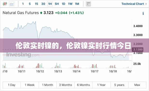 伦敦实时镍的，伦敦镍实时行情今日 