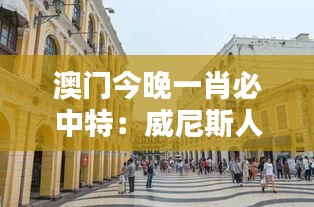澳门今晚一肖必中特：威尼斯人运河夜景秘境