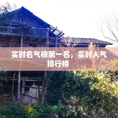 实时名气榜第一名，实时人气排行榜 