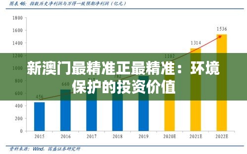 新澳门最精准正最精准：环境保护的投资价值
