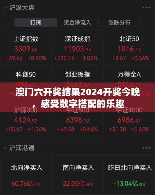 澳门六开奖结果2024开奖今晚，感受数字搭配的乐趣