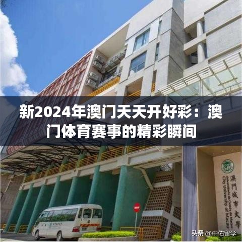新2024年澳门天天开好彩：澳门体育赛事的精彩瞬间