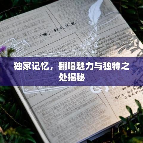 独家记忆，翻唱魅力与独特之处揭秘