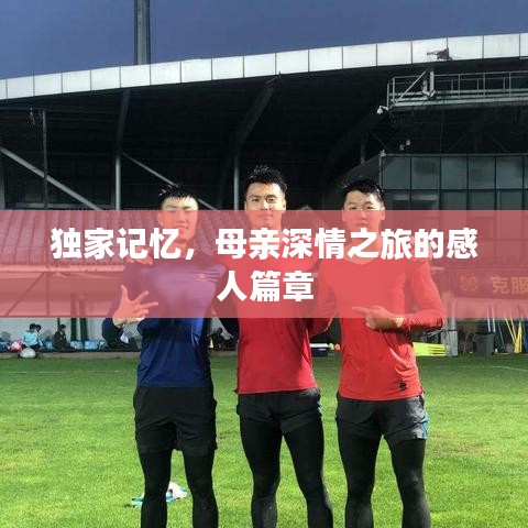 独家记忆，母亲深情之旅的感人篇章