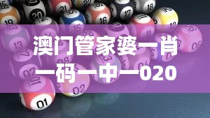 不知就里 第2页
