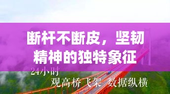 一本正经 第2页