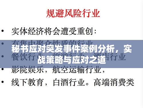 秘书应对突发事件案例分析，实战策略与应对之道