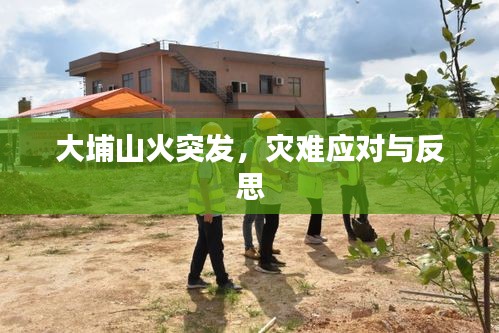 大埔山火突发，灾难应对与反思
