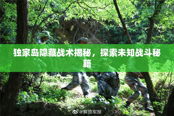 独家岛隐藏战术揭秘，探索未知战斗秘籍