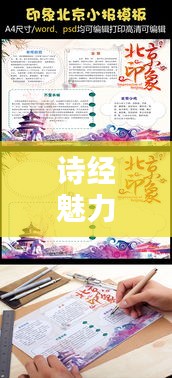 诗经魅力，专题小报精彩呈现
