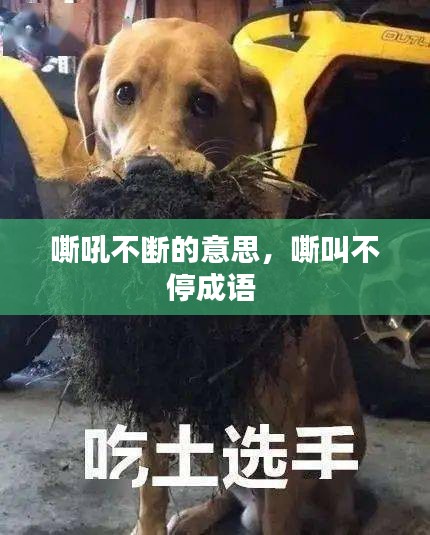 嘶吼不断的意思，嘶叫不停成语 