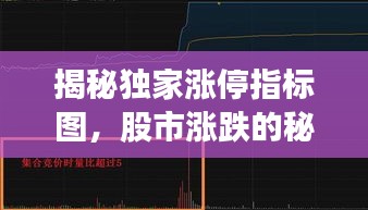 揭秘独家涨停指标图，股市涨跌的秘密武器全解析