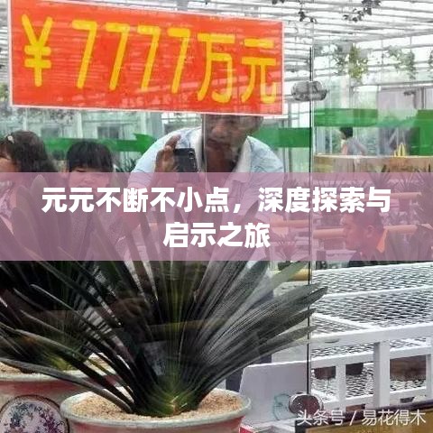 元元不断不小点，深度探索与启示之旅