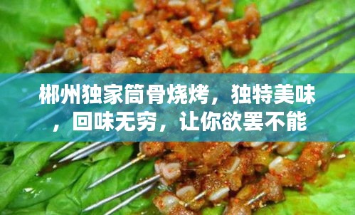 郴州独家筒骨烧烤，独特美味，回味无穷，让你欲罢不能