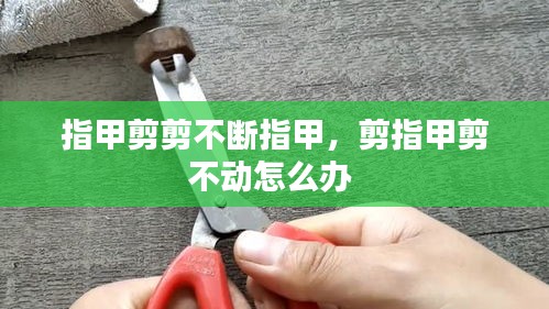 指甲剪剪不断指甲，剪指甲剪不动怎么办 