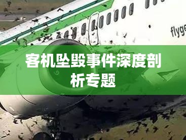 客机坠毁事件深度剖析专题