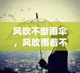 风吹不断雨伞，风吹雨着不肯退 