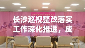 长沙巡视整改落实工作深化推进，成效显著