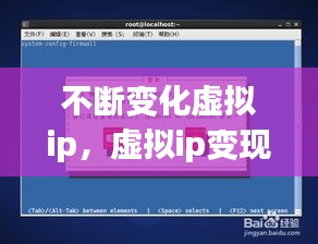 不断变化虚拟ip，虚拟ip变现 