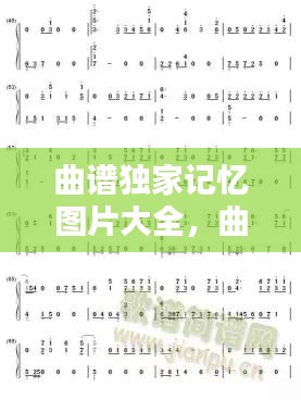曲谱独家记忆图片大全，曲谱合集 